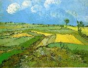 Vincent Van Gogh Wheat Fields at Auvers Under Clouded Sky USA oil painting artist
